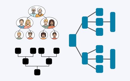 Typy struktur drzewa genealogicznego