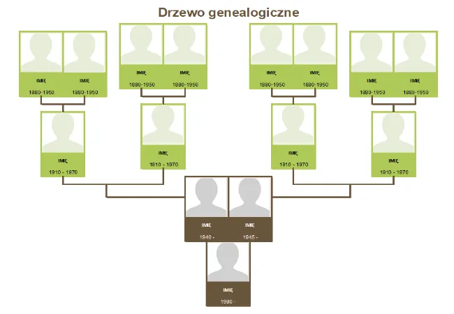 drzewo genealogiczne w excelu