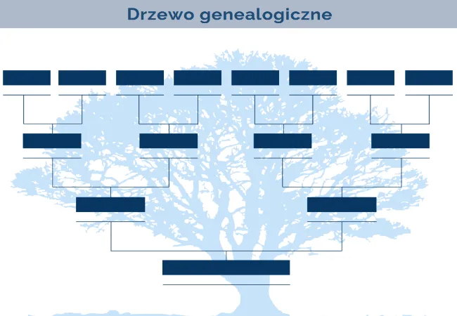 drzewo genealogiczne wzór